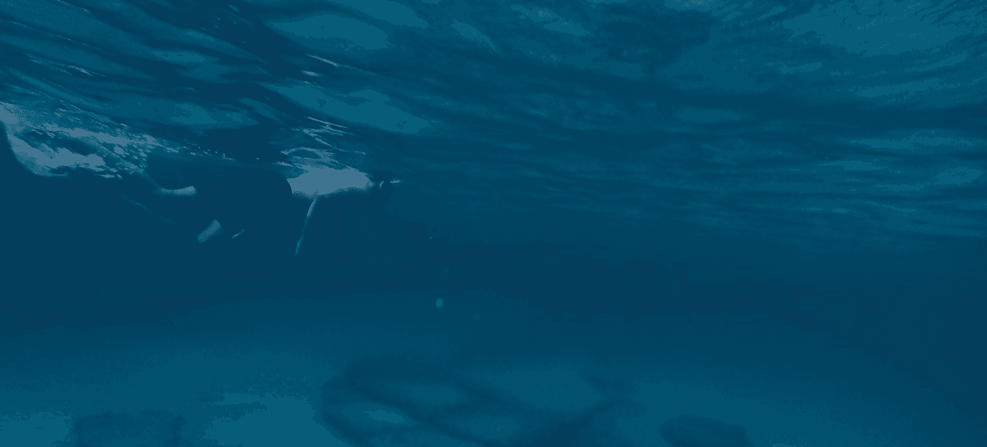 Salakta Background