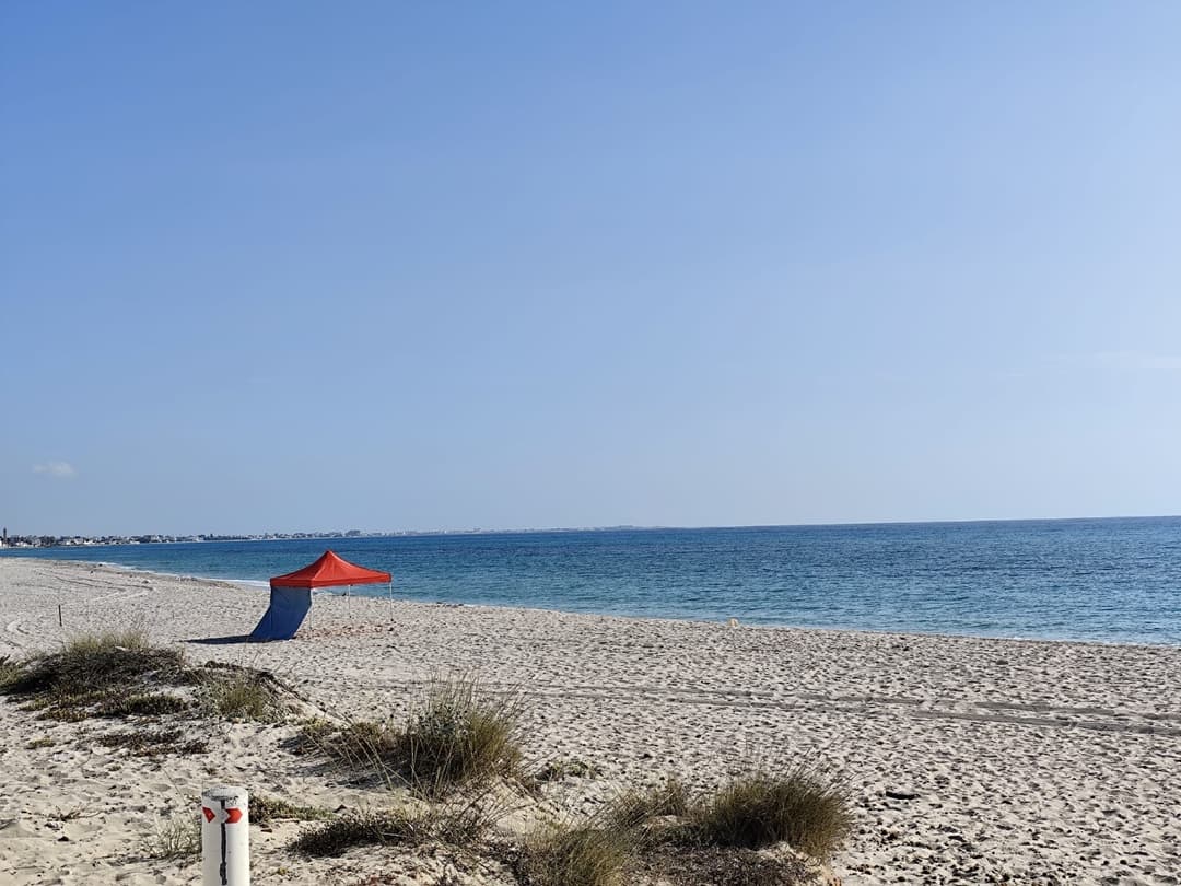 Salakta coast